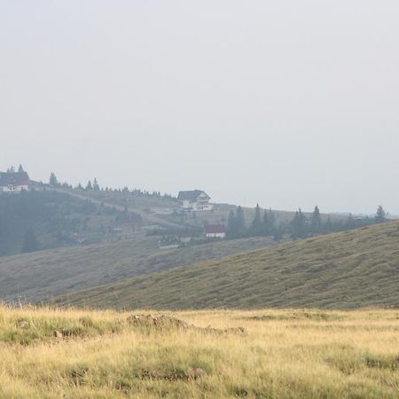 Pensiunea Muntele Alb Хорезу Экстерьер фото