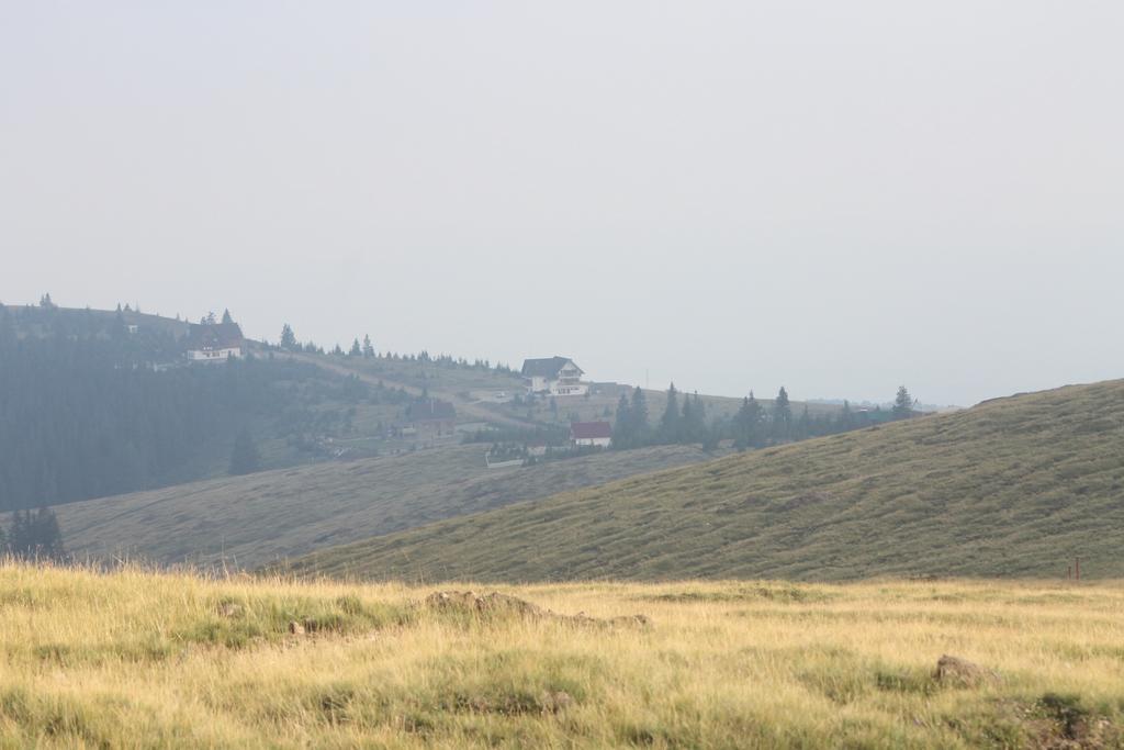 Pensiunea Muntele Alb Хорезу Экстерьер фото